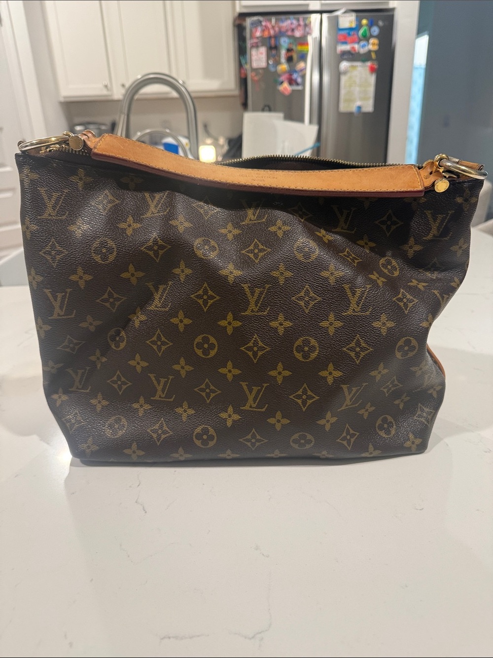 Louis Vuitton Monogram Canvas Shoulder Pouch in Brown and Tan